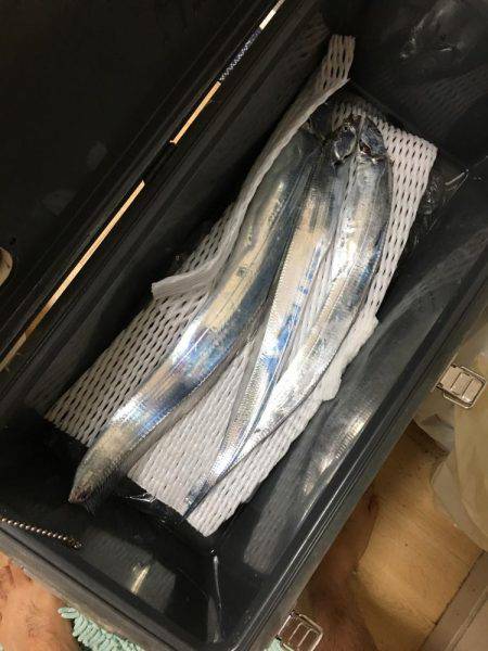 タチウオテンヤ釣り 大潮はちょっとやりづら…