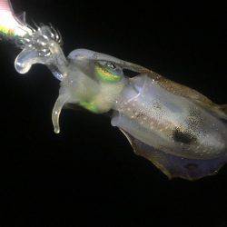 お腹いっぱい‼️