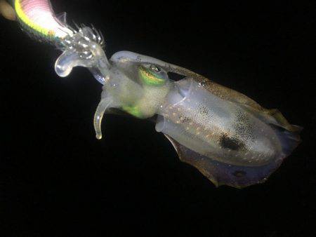 お腹いっぱい‼️