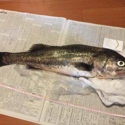 久しぶりの良型