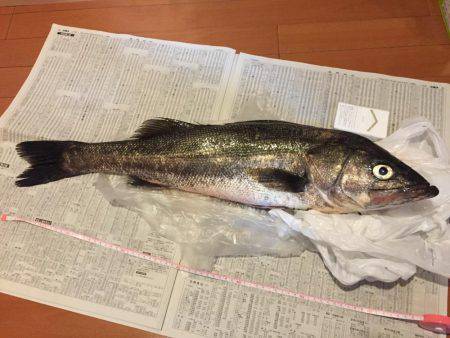 久しぶりの良型