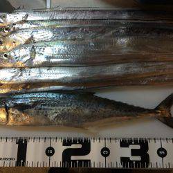 初めての7防釣行