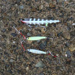 朝まづめサーベリング