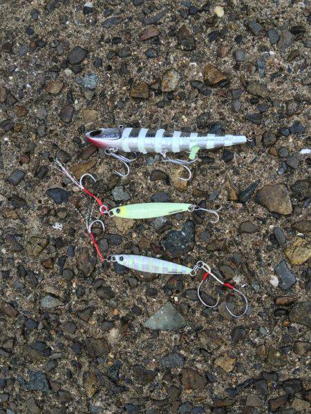 朝まづめサーベリング