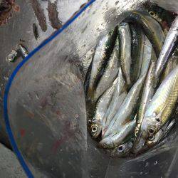 いい感じです。