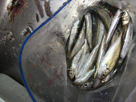 いい感じです。