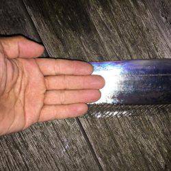 小さいのタチウオ