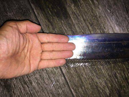 小さいのタチウオ