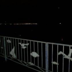 太刀魚ゲッター