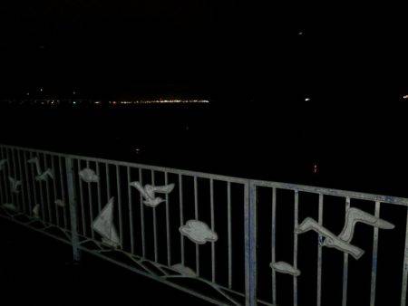 太刀魚ゲッター