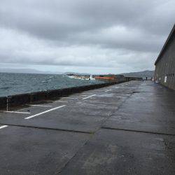 激シブショアジギのなかなんとか１匹