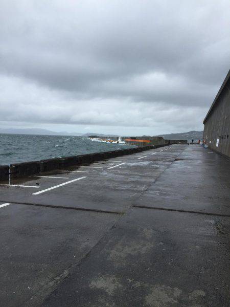 激シブショアジギのなかなんとか１匹