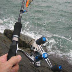 アオリイカ!秋イカでも3,5号オンリーでエギング!