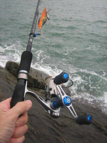 アオリイカ!秋イカでも3,5号オンリーでエギング!