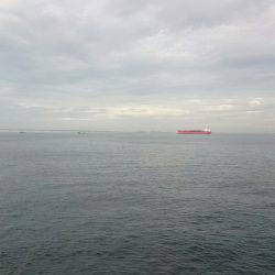 タチウオは釣れなかったけど