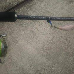 今季初アオリイカ釣り