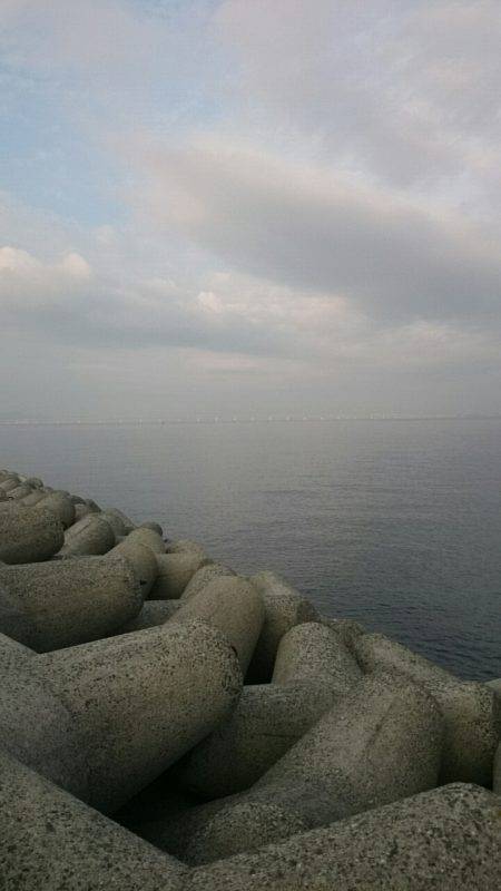 青物回遊なし？