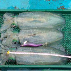 友人の船でティップラン