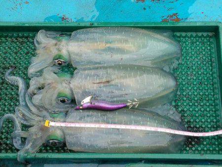 友人の船でティップラン