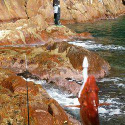 シーズン終盤？