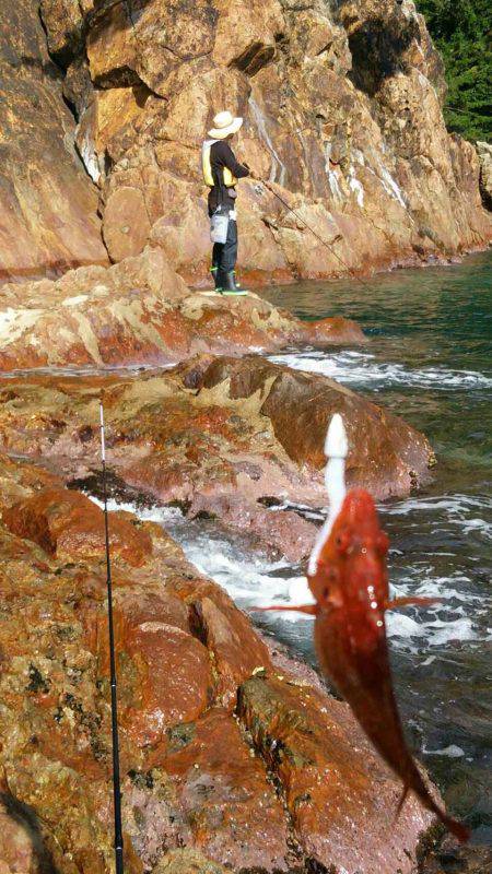 シーズン終盤？