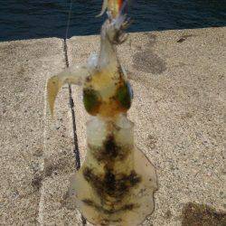 もうスレてました。