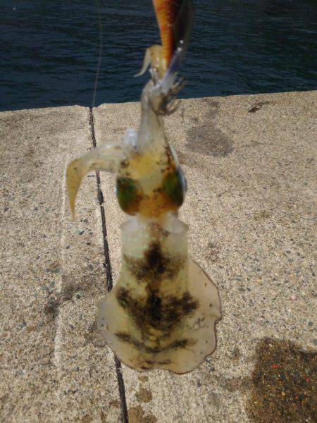 もうスレてました。