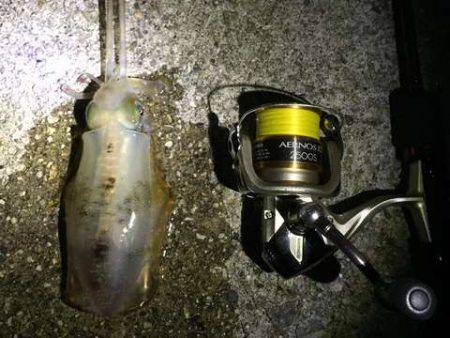 メバリングロッドで抜けない!?