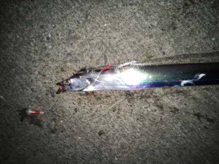 水軒鉄鋼団地でタチウオ、ツ抜け！