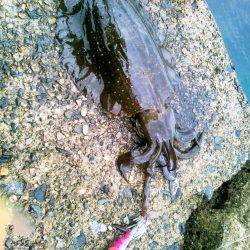 第一投目から~♪