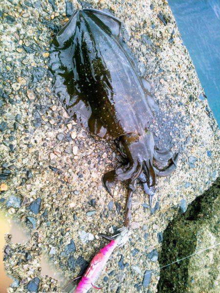 第一投目から~♪