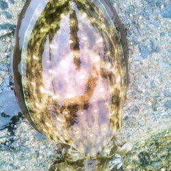 ポイントによってこんなにも･・