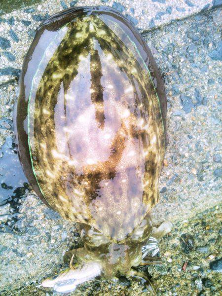 ポイントによってこんなにも･・