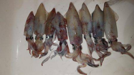 そろそろ?まだまだ