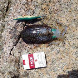 今シーズン初エギング