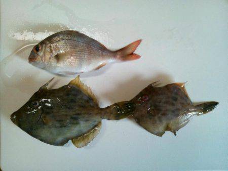 想い出の地、初島へ