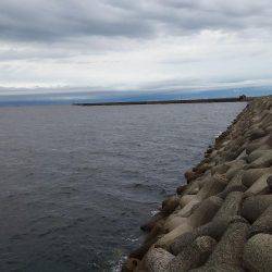 今日も渋かった！