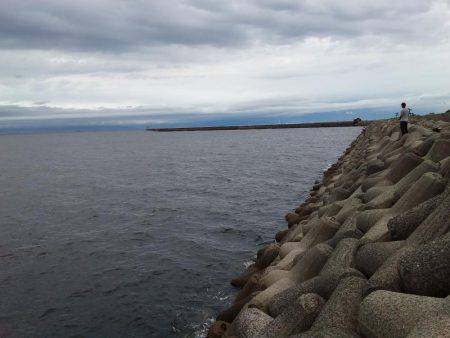 今日も渋かった！