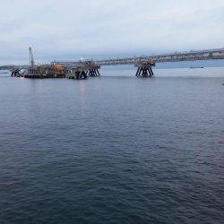 台風直後、様子見に来ました。