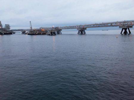 台風直後、様子見に来ました。