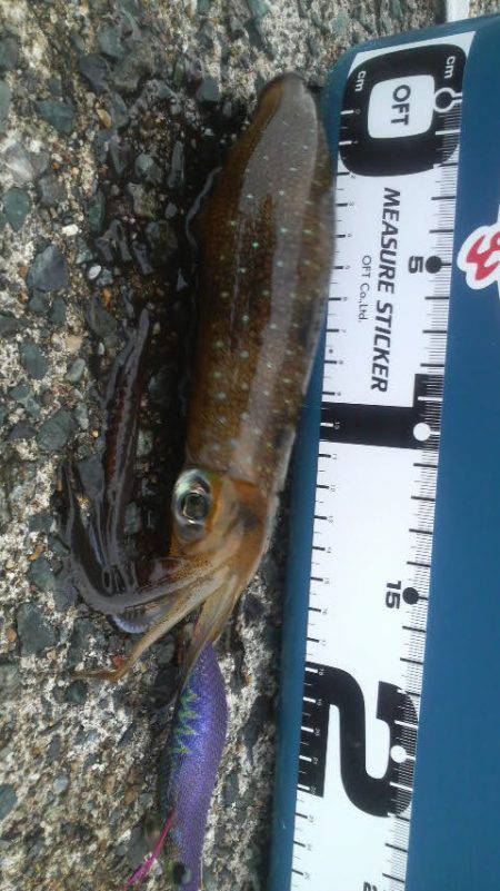 曇りのち雨時々大雨