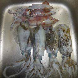 激渋からの・・・