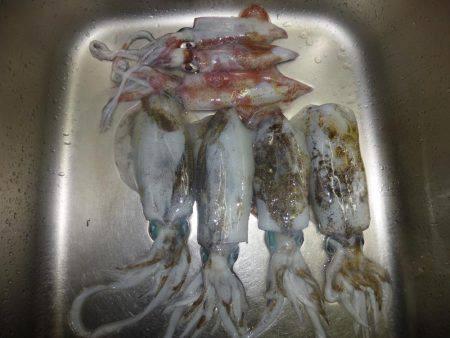 激渋からの・・・