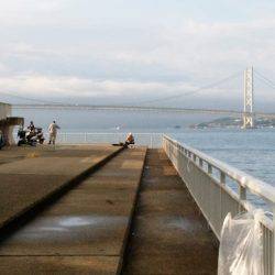 大蔵海岸でマゴチ62cm！