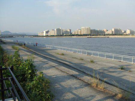 元気なサヨリとエサ取りのフグ