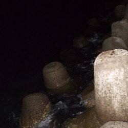 台風前にチヌ狙いだが…