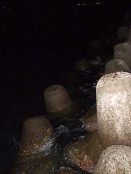 台風前にチヌ狙いだが…