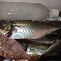 アジ釣り、突然のスコール!