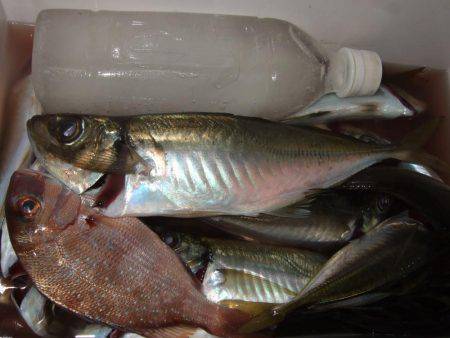 アジ釣り、突然のスコール!