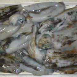 まぁ良しとする